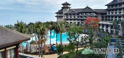 电竞比赛押注app