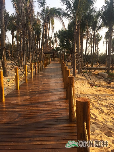 电竞比赛押注app