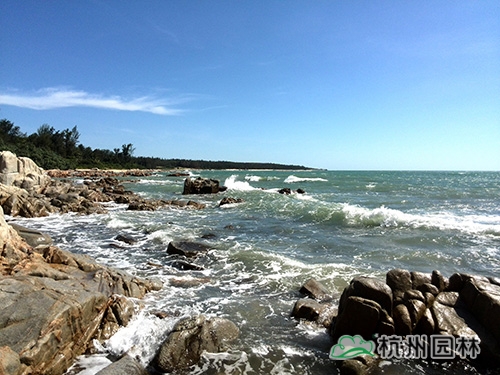 电竞比赛押注app