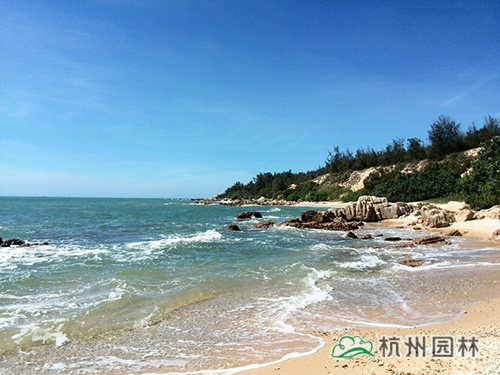 电竞比赛押注app