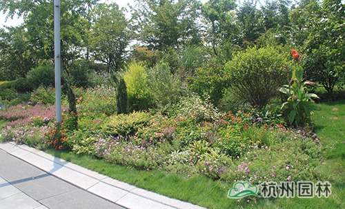 电竞比赛押注app