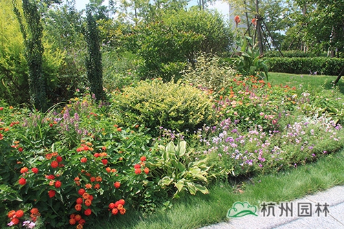 电竞比赛押注app