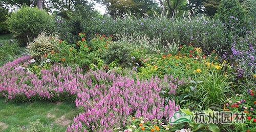 电竞比赛押注app