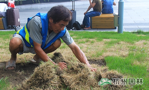 电竞比赛押注app