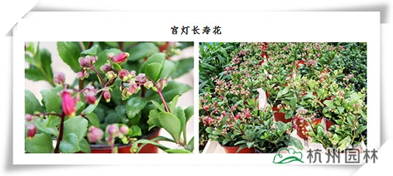 电竞比赛押注app