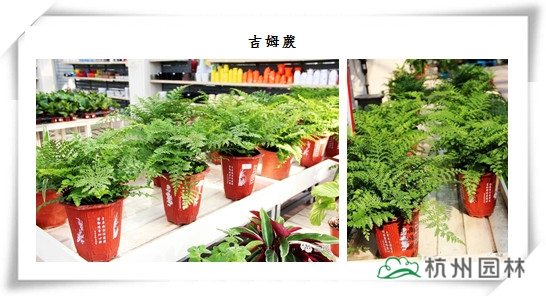 电竞比赛押注app