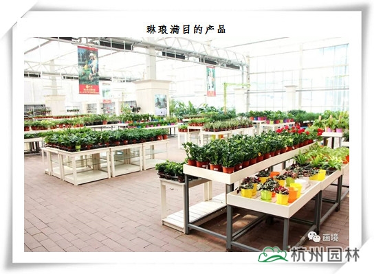 电竞比赛押注app