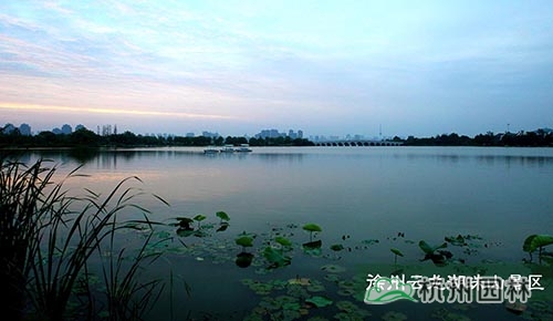 电竞比赛押注app