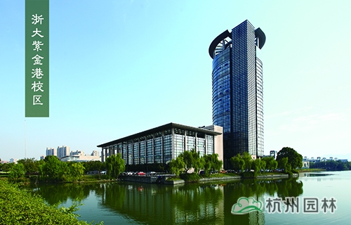 电竞比赛押注app