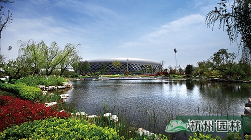 电竞比赛押注app