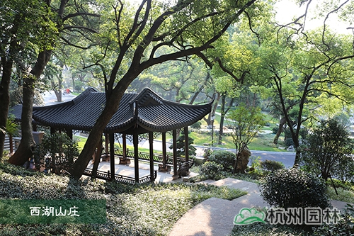 电竞比赛押注app