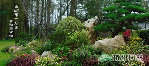 电竞比赛押注app