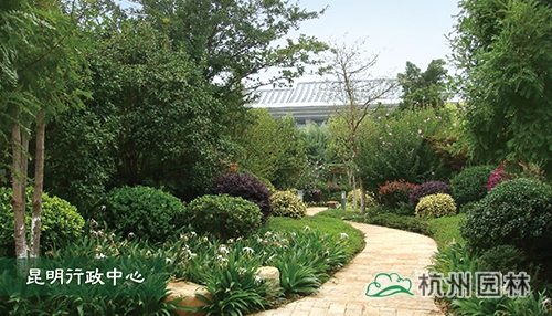 电竞比赛押注app