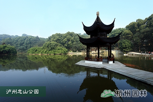 电竞比赛押注app