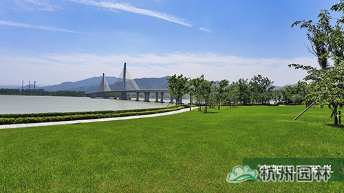 电竞比赛押注app