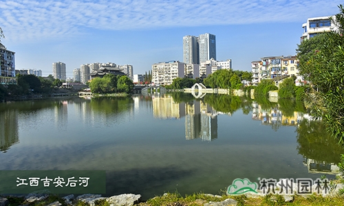 电竞比赛押注app