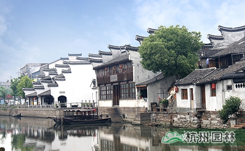 电竞比赛押注app