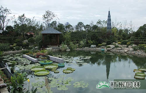 电竞比赛押注app