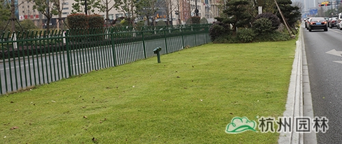 电竞比赛押注app