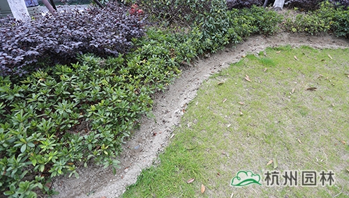 电竞比赛押注app