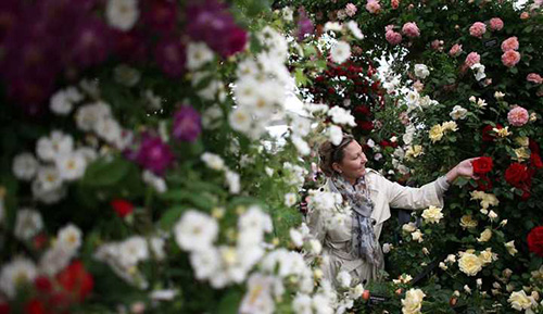 电竞比赛押注app