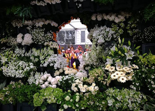 电竞比赛押注app