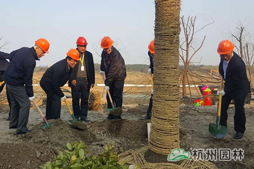 电竞比赛押注app