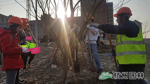 电竞比赛押注app