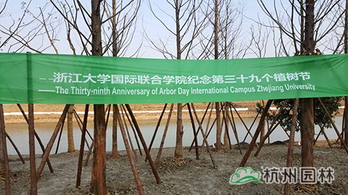 电竞比赛押注app