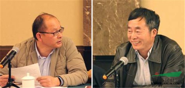 电竞比赛押注app