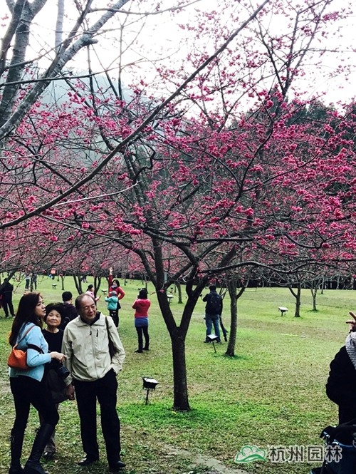 电竞比赛押注app