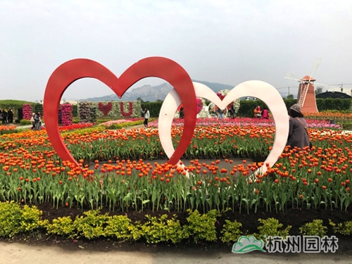 电竞比赛押注app