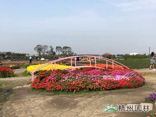 电竞比赛押注app