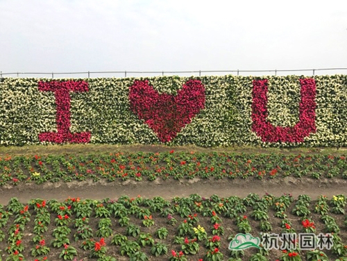 电竞比赛押注app