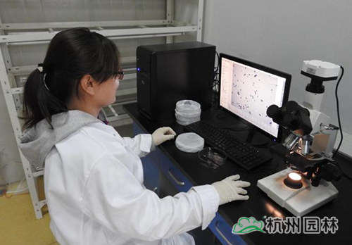 电竞比赛押注app