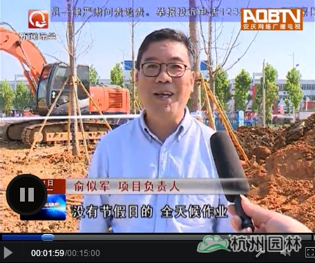 电竞比赛押注app