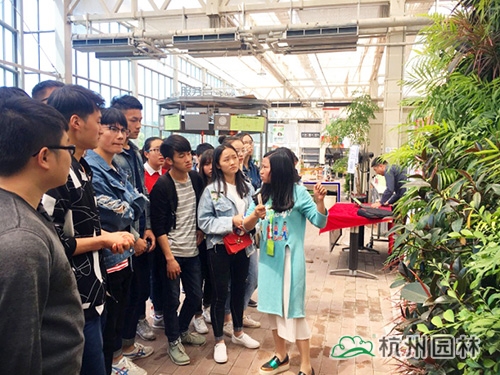 电竞比赛押注app