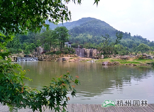 电竞比赛押注app