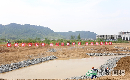 电竞比赛押注app