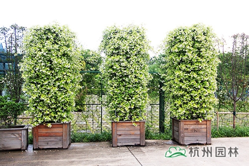 电竞比赛押注app