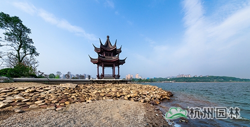 电竞比赛押注app