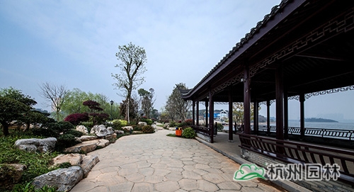 电竞比赛押注app