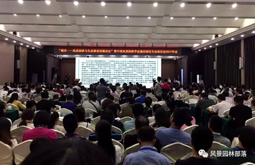 电竞比赛押注app