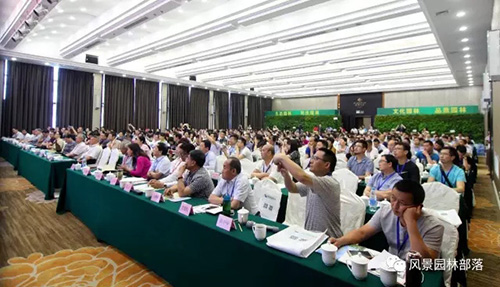 电竞比赛押注app