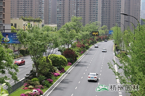 电竞比赛押注app