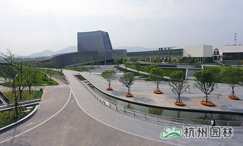 电竞比赛押注app