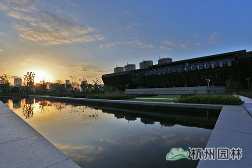 电竞比赛押注app