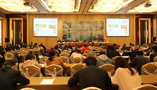 电竞比赛押注app