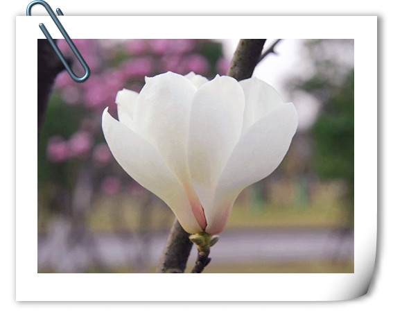 电竞比赛押注app