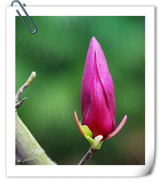 电竞比赛押注app